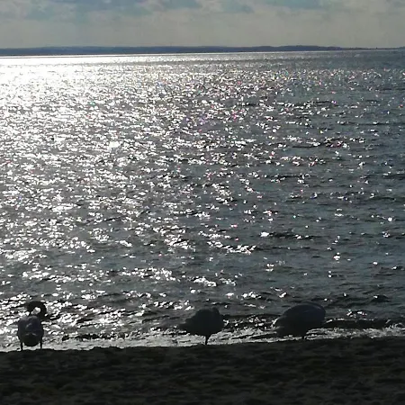 Apartment Besthel Hel