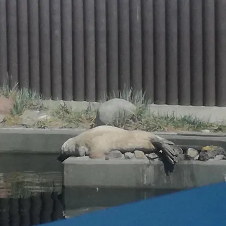 Besthel Appartement *